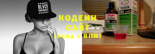 прущие грибы Кулебаки